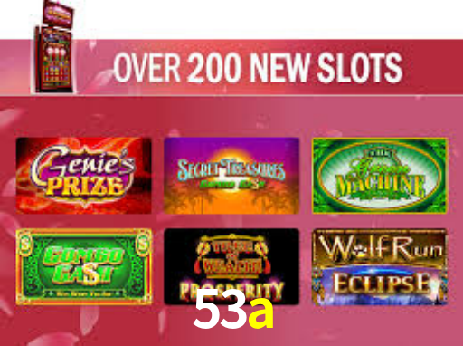 Premium Interface 53a